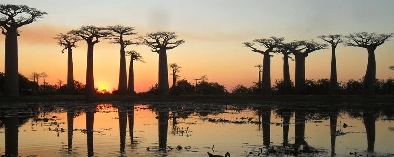 Descente de la Tsiribihina - Visite du parc Tsingy de Bemaraha