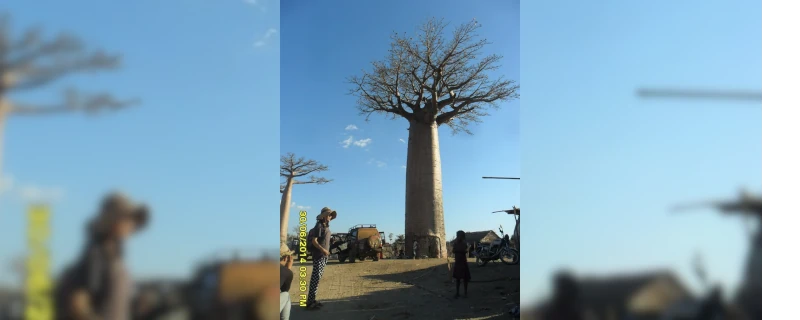 Descente de la Tsiribihina - Visite du parc Tsingy de Bemaraha