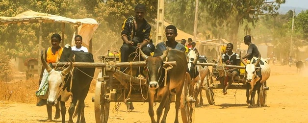 Descente de la Tsiribihina - Visite du parc Tsingy de Bemaraha