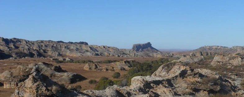 Circuits classique sud de Madagascar - Tana à Ifaty