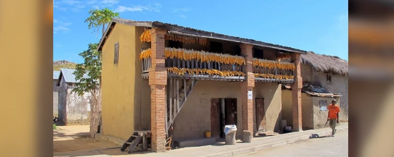 Circuits classique sud de Madagascar - Tana à Ifaty