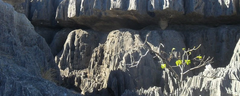 Descente de la Tsiribihina - Visite du parc Tsingy de Bemaraha
