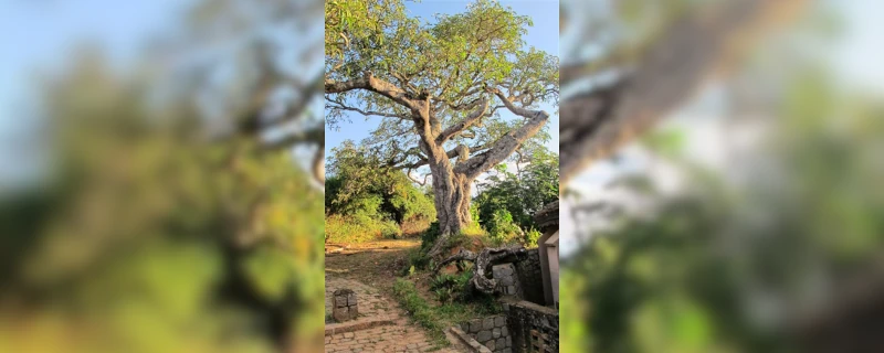 Une journée de Visite d'Antananarivo