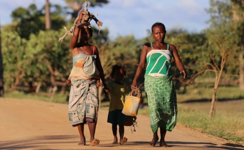 Descente de la Tsiribihina - Visite du parc Tsingy de Bemaraha