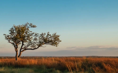 Circuits classique sud de Madagascar - Tana à Ifaty